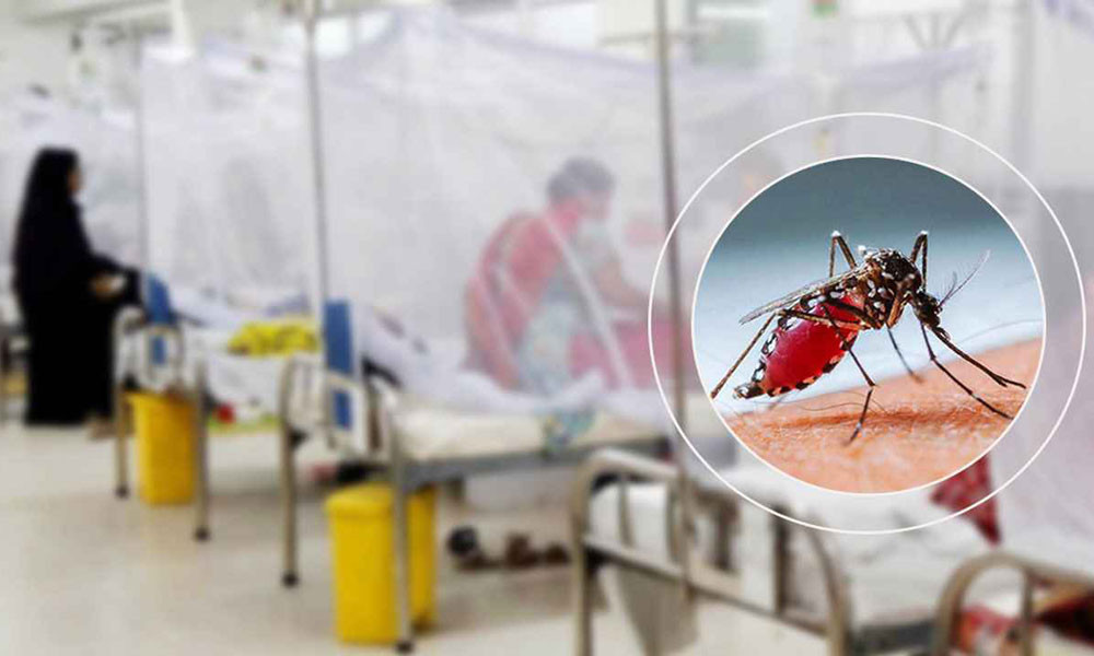 ডেঙ্গুতে আরো ৩৭৫ জন হাসপাতালে